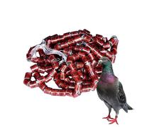 Pigeon Identification Rings - 2025 Racing Pigeon Bands, Colorful Bird Leg Rings | 50pcs Foot for Homing Pigeons, Breeding Birds, Parrots, Chicks, Ducks and Aviary Tracking Purposes