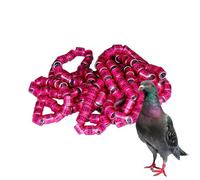 Pigeon Identification Rings - 2025 Racing Pigeon Bands, Colorful Bird Leg Rings | 50pcs Foot for Homing Pigeons, Breeding Birds, Parrots, Chicks, Ducks and Aviary Tracking Purposes