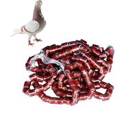 Pigeon Identification Rings, Safe Birdhouse Accessories | Sturdy Size Bird Foot Rings in Bright Colors Pegeon Accessories for Racing Parrot Chicks Duck