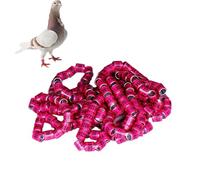 Pigeon Identification Rings | Safe Birdhouse Accessories - Sturdy Size Bird Foot Rings in Bright Colors Pegeon Accessories for Racing Parrot Chicks Duck
