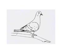 'Pigeon on a Branch' Temporary Tattoo - Water Resistant, Skin-Safe, Non-Toxic Transfer (TO00074865)