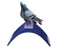 Pigeon Perches - Safe, Comfortable and Easy to Install - Pigeon Perches as Bird Holder | Suitable for Bird Cages, Aviaries, Pet Shops, Home, Yard, Balcony, Indoor and Outdoor Use