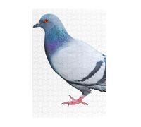 Pigeon Prints Wooden Jigsaw Puzzle 300-Piece in Plastic Box, 26x38 CM Eco-Friendly Educational Puzzle for Family Fun & Adult Relaxation