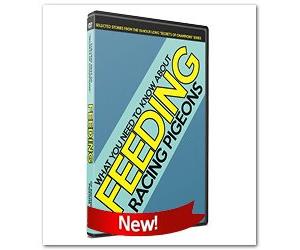 Pigeon Racing: Best Secrets of Champions - FEEDING