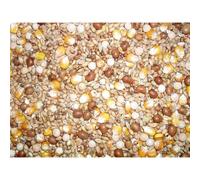 Pigeon Seed Mix 20kg - General Economy Blend for Year-Round Feeding | High-Energy Grain & Seed Mix for Pigeons
