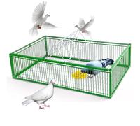 Pigeon Trap with Jump Door - 100cm, 5 Entrances, One Way Anti-Escape Design for Pigeons and Birds, Escape-proof Encrypted Bird Cage