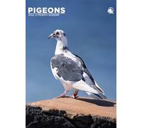 Pigeons - A3 Calendar 2026