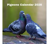 Pigeons calendar 2026
