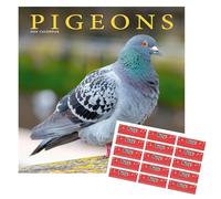 Pigeons Calendar 2026 | Square Wall Calendar | 16 Month | With Free Organisational Stickers, Pigeons Gift