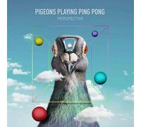 PIGEONS PLAYING PING PONG - PERSPECTIVE