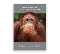 Pigment - Animal Antics - Cheeky Chimp - Birthday Cards for Women - Birthday Cards for Men - SC Certified - Made in the UK - 130 x 176