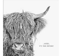 Pigment - Life In Pencil - Birthday Card - Highland Coo Pencil Drawing -Made in the UK - WM809A - 160x156 - for Male/Female
