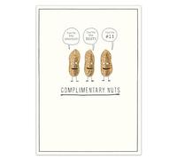 Pigment Productions Funny Blank Greeting Card, Complimentary Nuts Joke