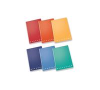 PIGNA 00991465 m Notebooks Checks 5 mm, pack of 10, Assorted, 12x17 cm