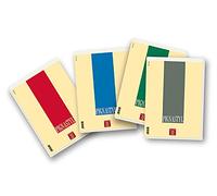 Pigna 02137485M A4 Block with Metallic Point, 70 Sheets, Pack of 10