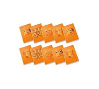 Pigna, Maxi Notebook Monochrome Orange, A4, Inner Paper 100 g/m², 72 Pages + Flap Inside, 0Q, 5 mm Squares with Margin, Assorted Subjects, Pack of 10