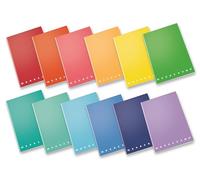 Pigna Monocromo Maxi Large A4 Notebook, 80 g Stripes (1R) A4 (Pack of 10)