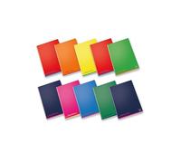Pigna Pack of 10 Journals Maxi 02308750A Colours