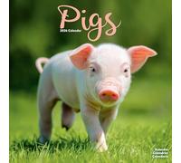 Pigs Calendar 2026 | 12 Month Wall Calendar | Avonside Publishing | Plastic Free Packaging