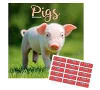 Pigs Calendar 2026 | Square Wall Pig Calendar | 16 Month | With Free Organisational Stickers, Pigs Gift