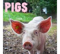 Pigs Calendar 2027: Farm Animals and Country Scenes