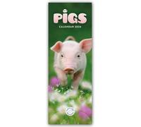 Pigs - Ferkel - Schweinchen 2026 - Slimline-Kalender: Original Carousel Calendar [Mehrsprachig] [Kalender]