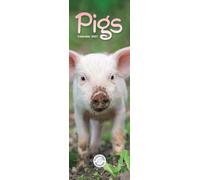 Pigs (PFP)Slim