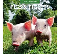 Pigs & Piglets - 2027 Square Wall Calendar - by Red Robin Publishing