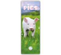 Pigs Slim Calendar 2025 - New Calendar - Q245z