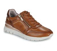 Pikolinos Shoes (Trainers) CANTABRIA W4R in Brown 3