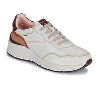 Pikolinos Shoes (Trainers) CUENCA W6A in Beige 7
