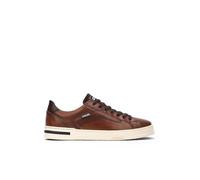 Pikolinos for man. M1K-6307C1 Xativa brown leather trainers (45), Flat, Laces, Casual