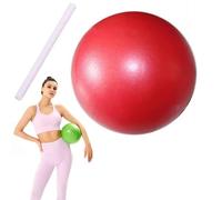 Pilates Small Exercise Ball, 9.85'' Workout Ball, for Yoga, Core Training, Physical Therapy, Balance, Stability and Stretching Pilates Equipment with Inflation Straw
