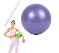 Pilates Small Exercise Ball, 9.85'' Workout Ball, for Yoga, Core Training, Physical Therapy, Balance, Stability and Stretching Pilates Equipment with Inflation Straw