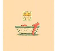 Pile - A Hairshirt Of Purpose