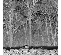 Pile - Sunshine And Balance Beams [VINYL]