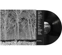 Pile - Sunshine and Balance Beams [VINYL]