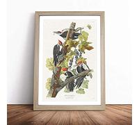 Pileated Woodpeckers by John James Audubon | Framed Wall Art Print | Modern Home Decor Picture | Ready to Hang Artwork for Living Room, Bedroom, Kitchen or Office | Multiple Sizes