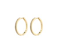 Pilgrim EBNA Earrings Goldplated Brass 672312063 - Woman - Brass Gold