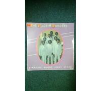 Pilgrim Wonders - Standing Where Jesus Stood [VINYL]