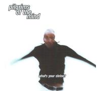 Pilgrims of the Mind - What's Your Shrine