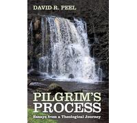 Pilgrim's Process: Essays from a Theological Journey