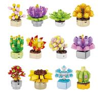 Pilikoll 12 Pcs Succulents Plants Building Set Mini Flowers Plants Building Sets Botanical Succulent Plants Building Blocks Construction Building Bricks Sets for Office & Room Decor, Women, Men