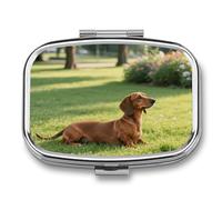 Pill Box 2 Compartment Dachshund Dog Travel Pill Case with Mirror Waterproof Medicine Pills Organizer 2 Times A Day Portable Med Container for Purse & Pocket Rectangle Silver