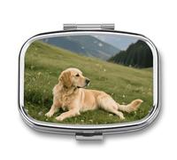 Pill Box 2 Compartment Dog on The Prairie Travel Pill Case with Mirror Waterproof Medicine Pills Organizer 2 Times A Day Portable Med Container for Purse & Pocket Rectangle Silver