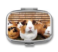 Pill Box 2 Compartment Medicine Pill Case Guinea Pigs Printed Portable Pill Box Travel Pill Organizer for Pocket Purse Daily Medicine Vitamin Box Fish Oil Box Supplement Box
