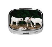 Pill Box 2 Compartment Medicine Pill Case with Mirror,Portable Pill Box for Pocket Or Purse Pill Box Decorative Unique Gift-Cute Goat Baby