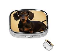 Pill Box 2 Compartment Medicine Pills Case for Pocket or Purse Mini Metal Pills Holder A Cute Dachshund Pill Organizer Portable Travel Medicine Container to Hold Supplements Vitamins