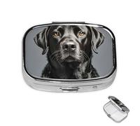 Pill Box 2 Compartment Medicine Pills Case for Pocket or Purse Mini Metal Pills Holder Black Labrador Pill Organizer Portable Travel Medicine Container to Hold Supplements Vitamins