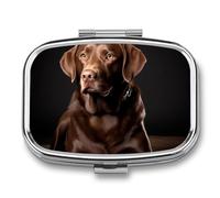 Pill Box 2 Compartment Medicine Pills Case for Pocket Or Purse Mini Metal Pills Holder Brown Labrador Retriever Pill Organizer Portable Travel Medicine Container to Hold Supplements Vitamins